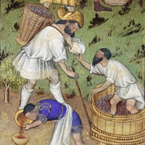 en vp rohan_foulage_et_ouillage - v2